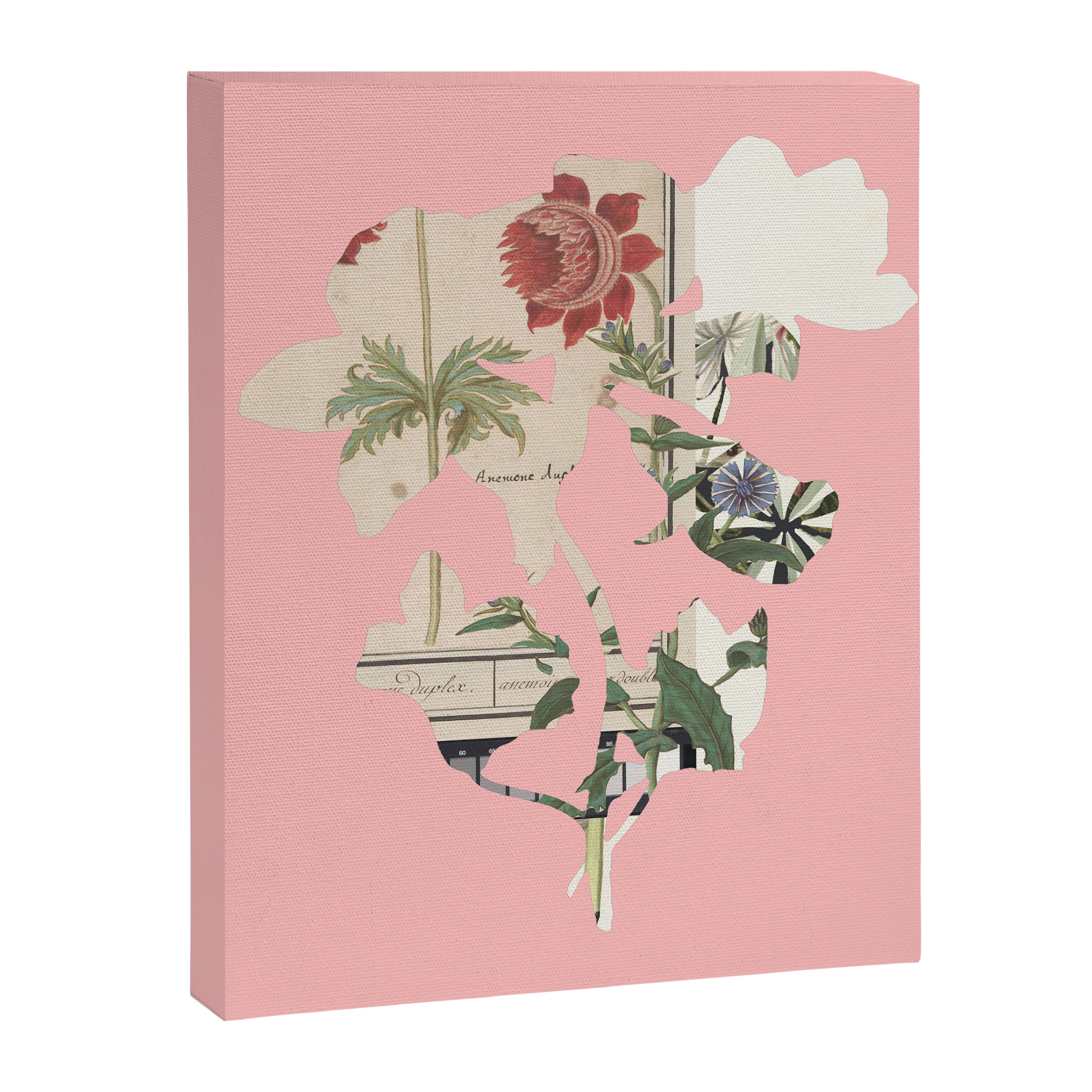 the first plant  · botanical b Canvas Print Gallery Image 6