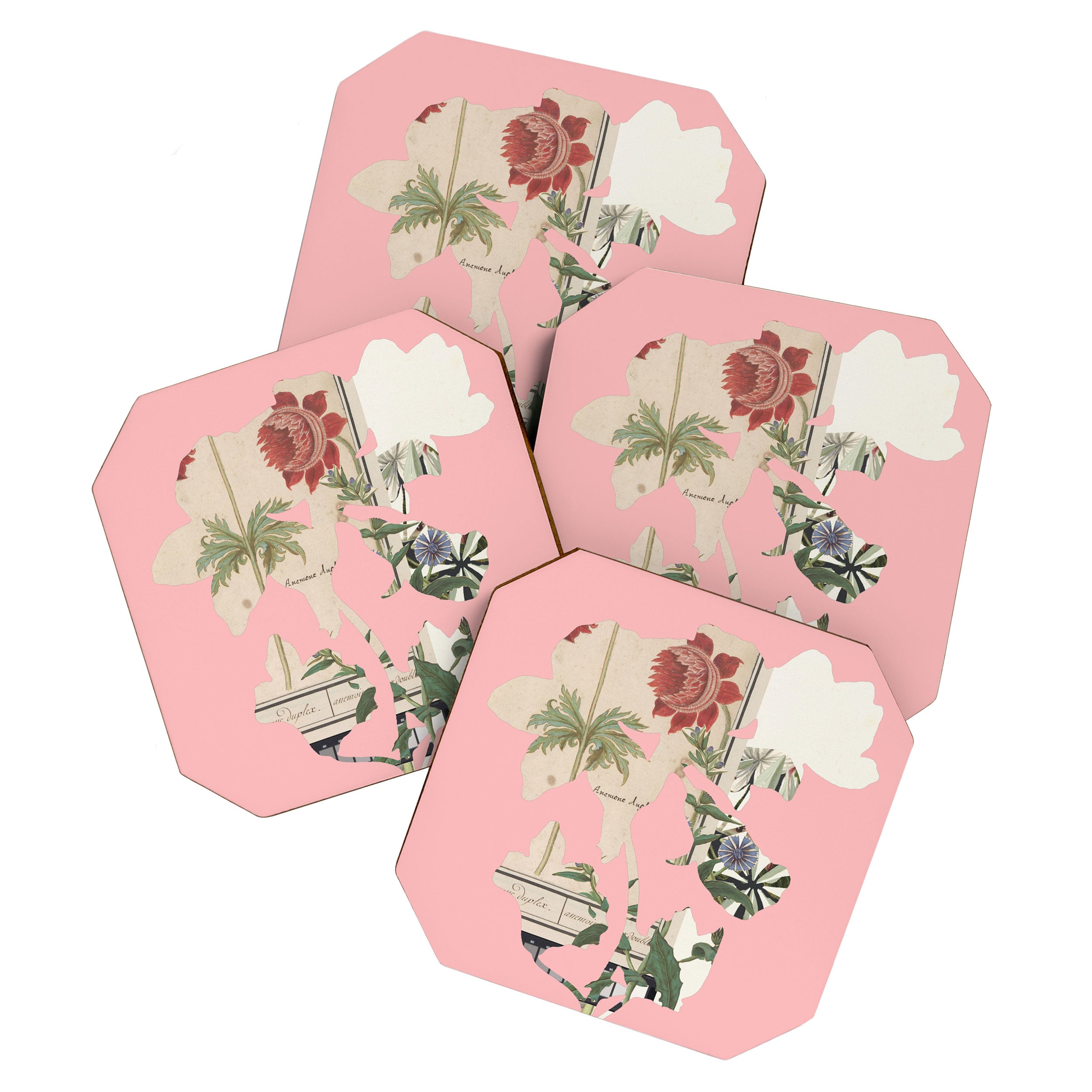 the first plant  · botanical b Coaster Gallery Image 1