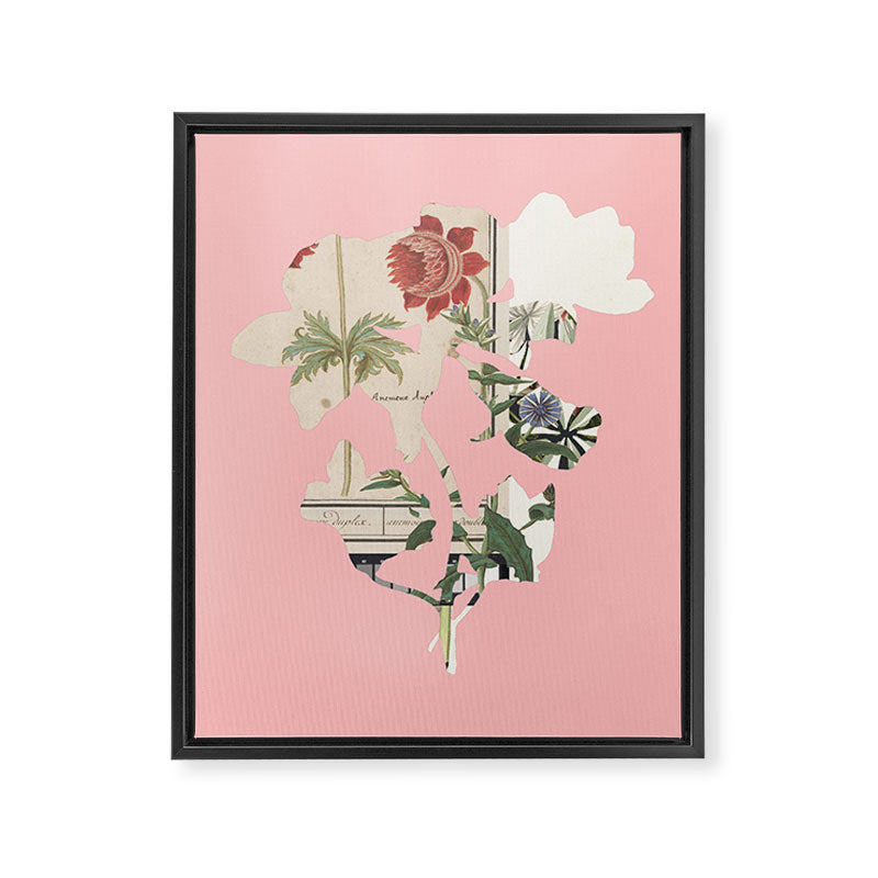 the first plant  · botanical b Framed Canvas Print Gallery Image 6