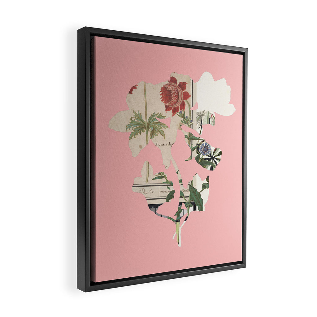 the first plant  · botanical b Framed Canvas Print Gallery Image 2
