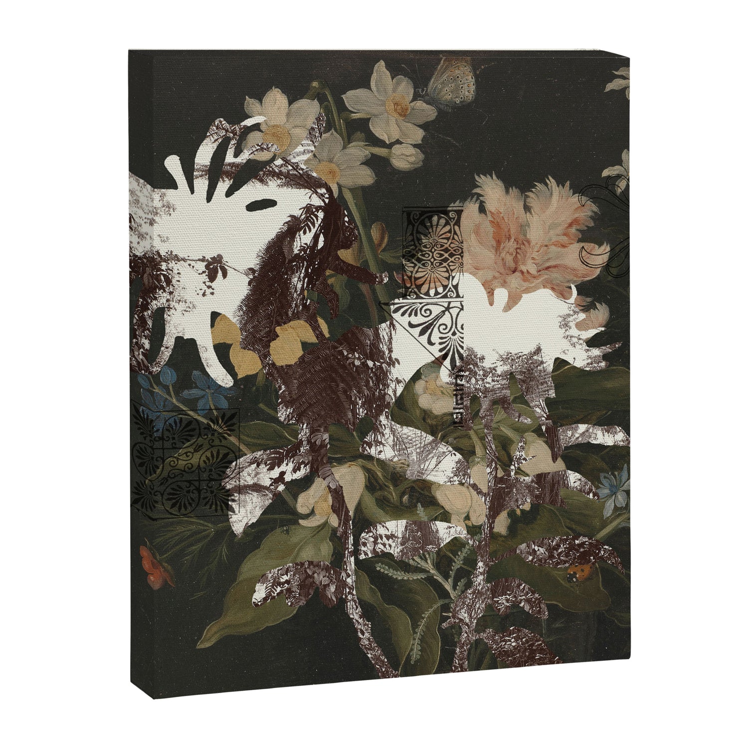 the first plant · botanical the mix 4 Canvas Print Gallery Image 3