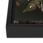 the first plant · botanical the mix 4 Framed Canvas Print Gallery Image 3