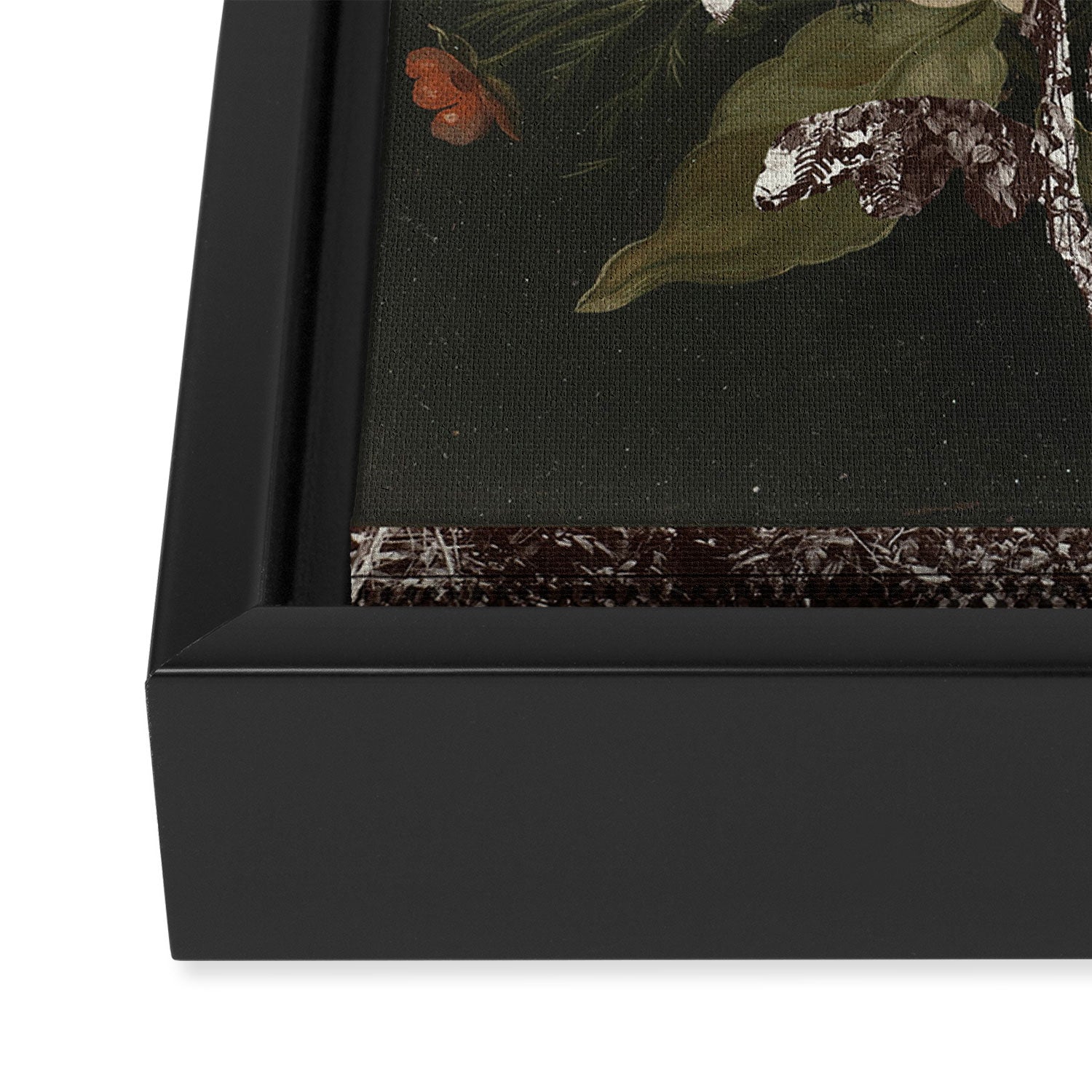 the first plant · botanical the mix 4 Framed Canvas Print Gallery Image 3