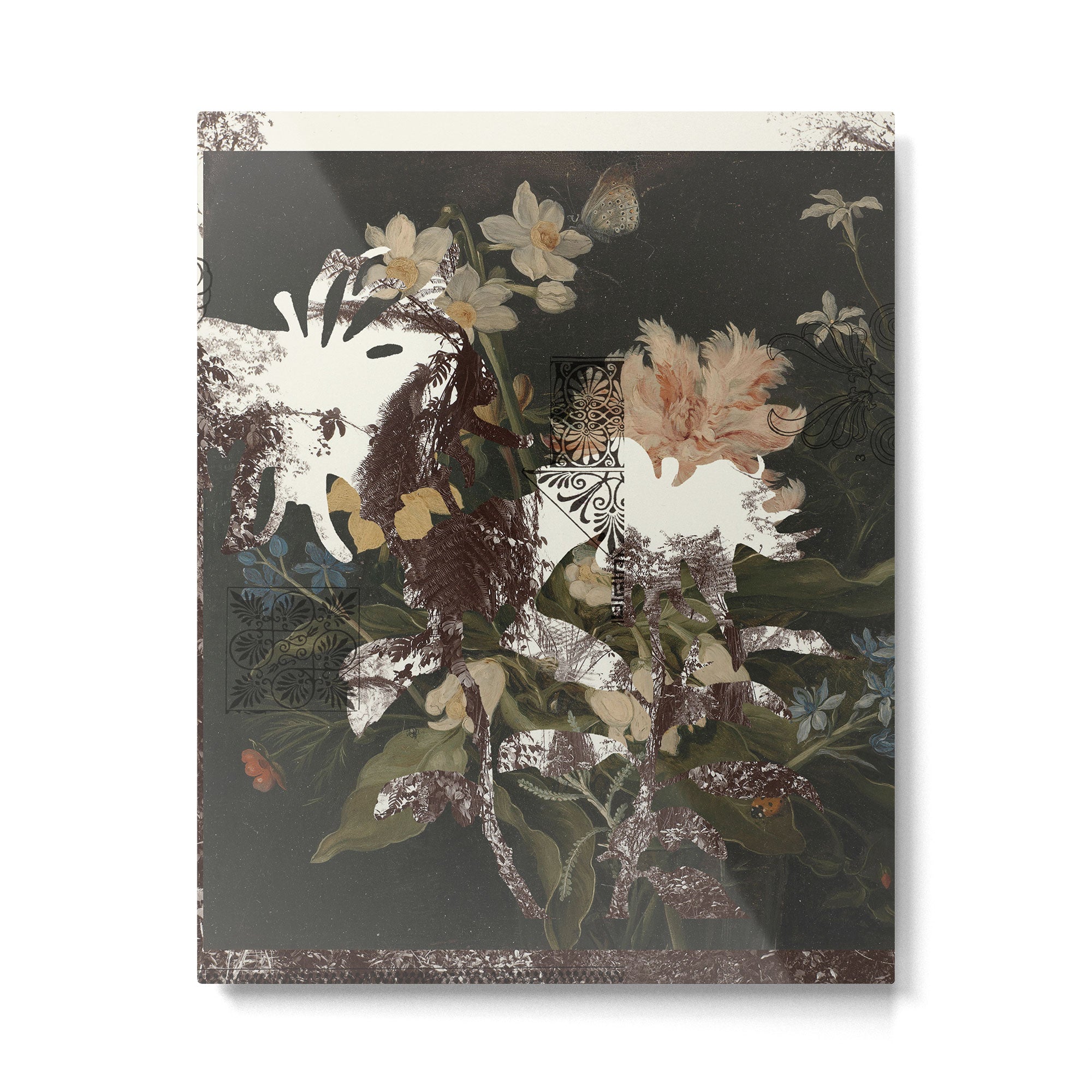 the first plant · botanical the mix 4 Metal Print Gallery Image 6