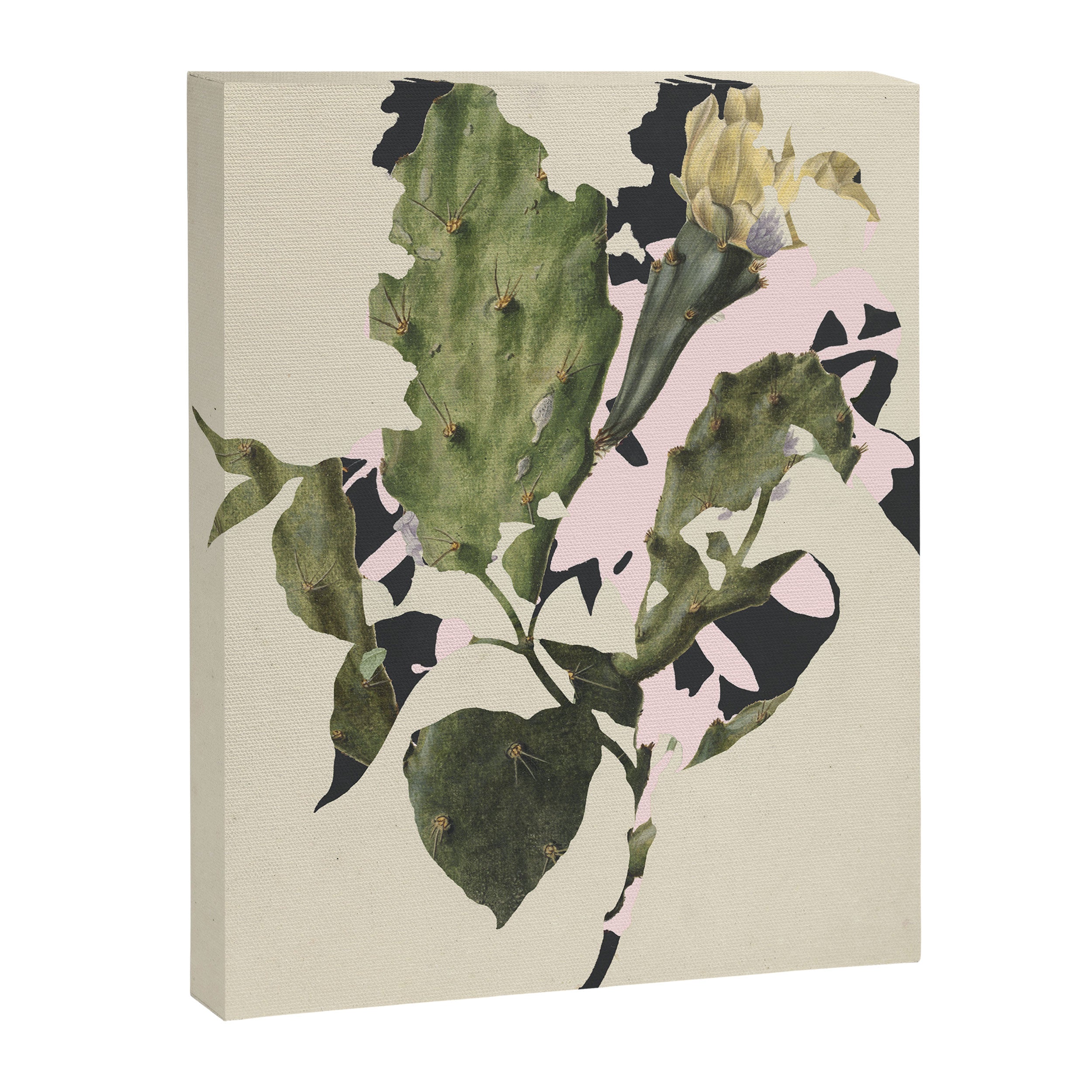 the first plant · e3 Canvas Print Gallery Image 3