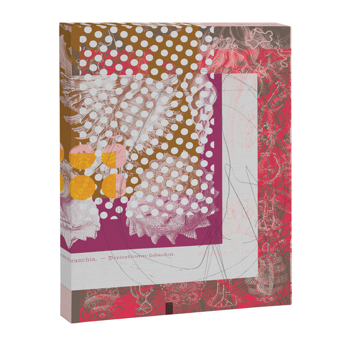 the first plant · grey edition tuesday Canvas Print Gallery Image 1
