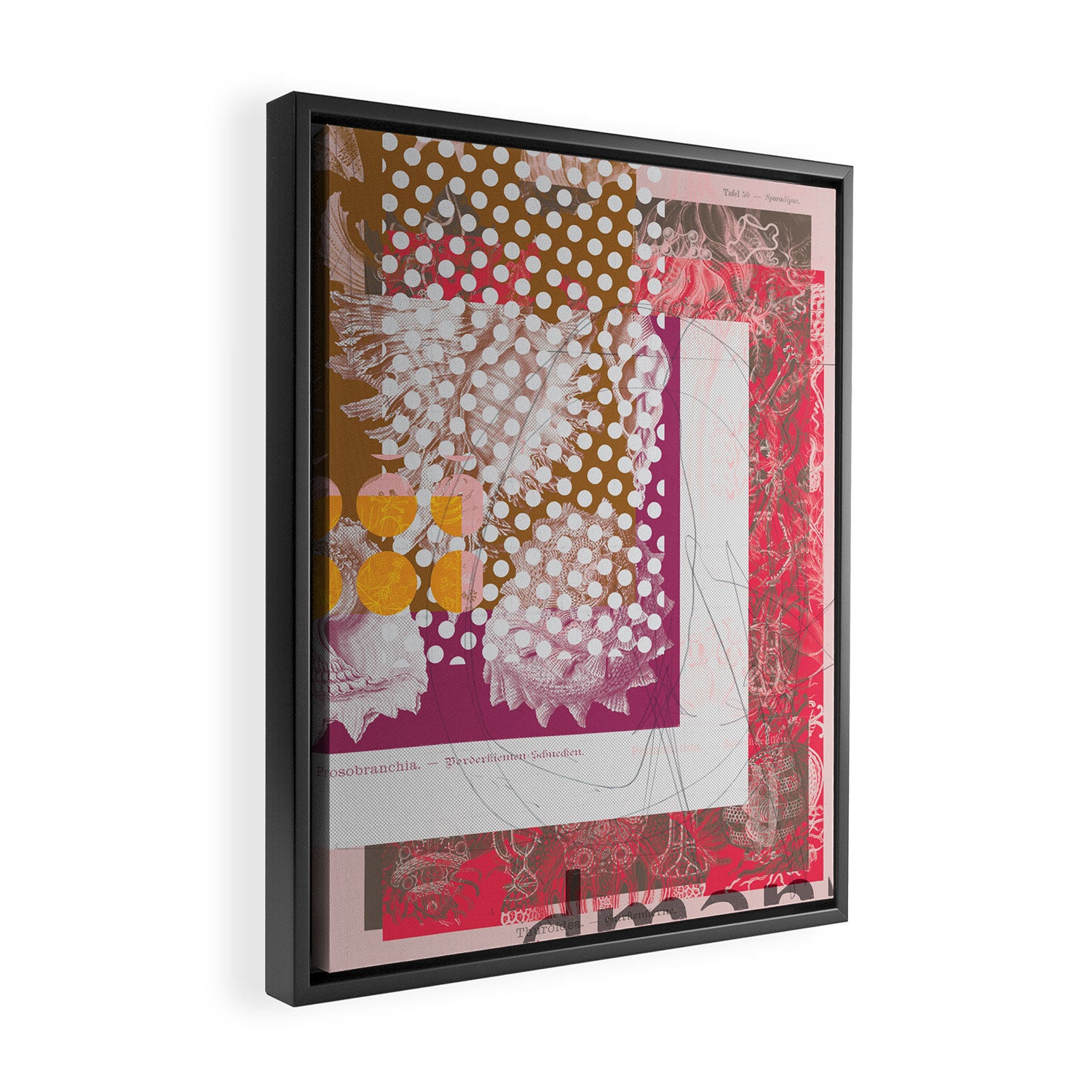 the first plant · grey edition tuesday Framed Canvas Print Gallery Image 2