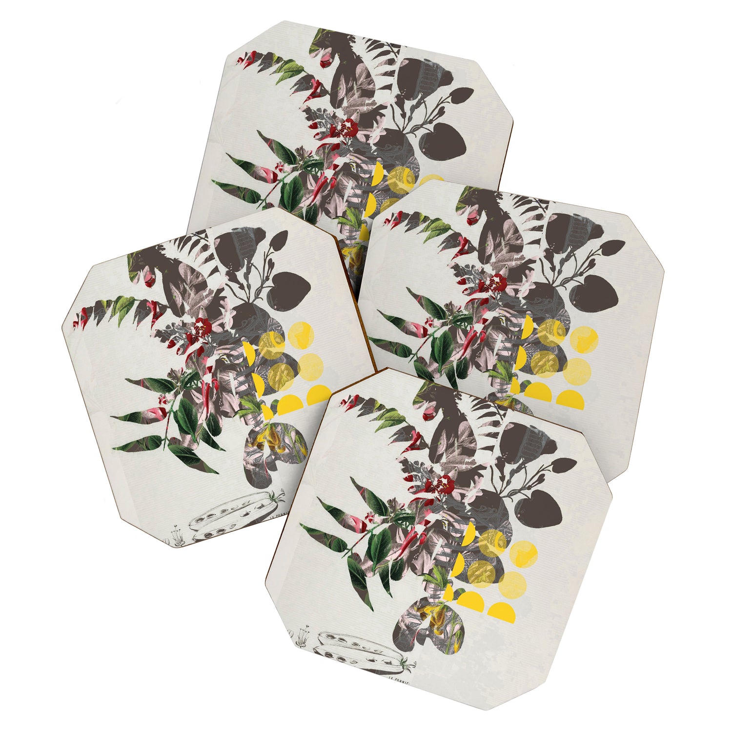 the first plant mix it up sunday Coaster Gallery Image 1