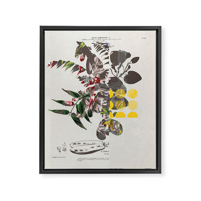 the first plant mix it up sunday Framed Canvas Print Gallery Image 1