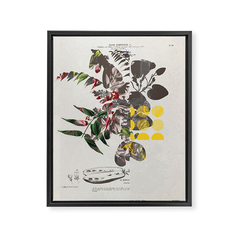 the first plant mix it up sunday Framed Canvas Print Gallery Image 6