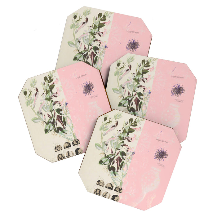 the first plant · mix it up sunday Coaster Gallery Image 1