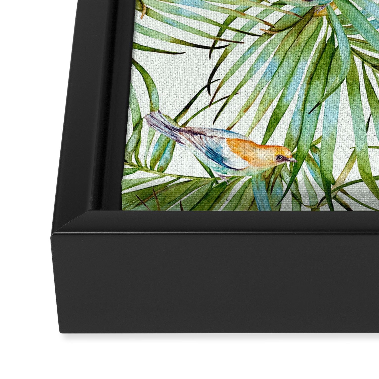 Birds on the leaves of the jungle Framed Canvas Print Gallery Image 3