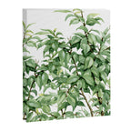 Botanic greenery Canvas Print Gallery Image 8