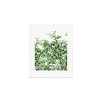 Botanic greenery Art Print Gallery Image 1