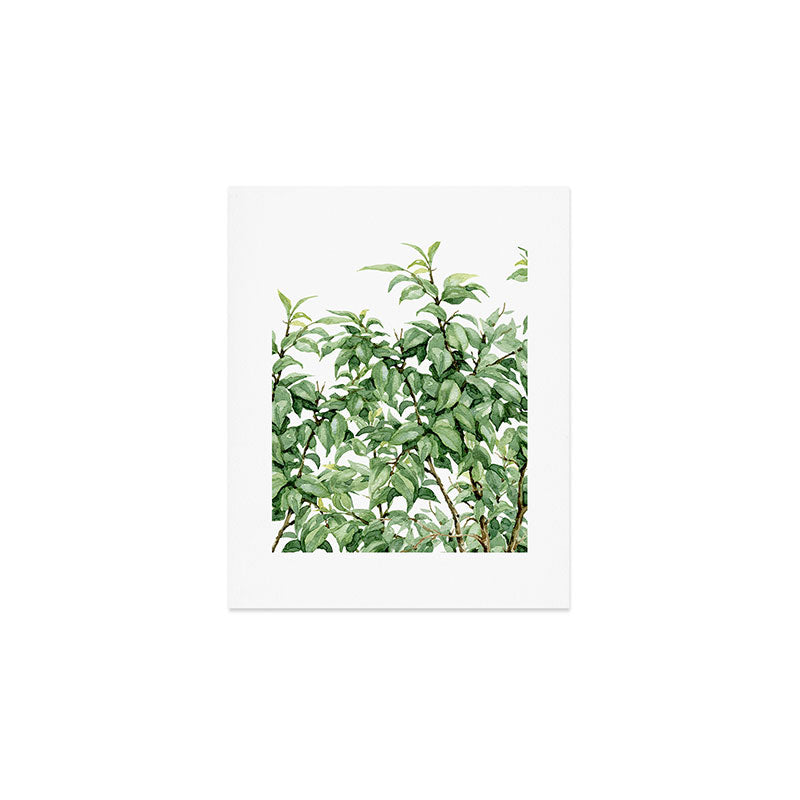 Botanic greenery Art Print Gallery Image 1