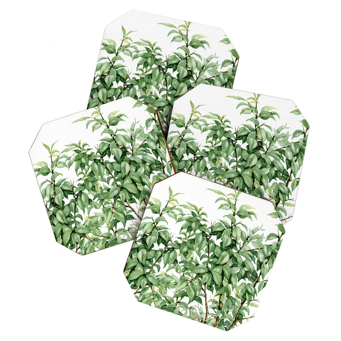 Botanic greenery Coaster Gallery Image 1