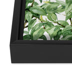 Botanic greenery Framed Canvas Print Gallery Image 3