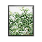 Botanic greenery Framed Canvas Print Gallery Image 8