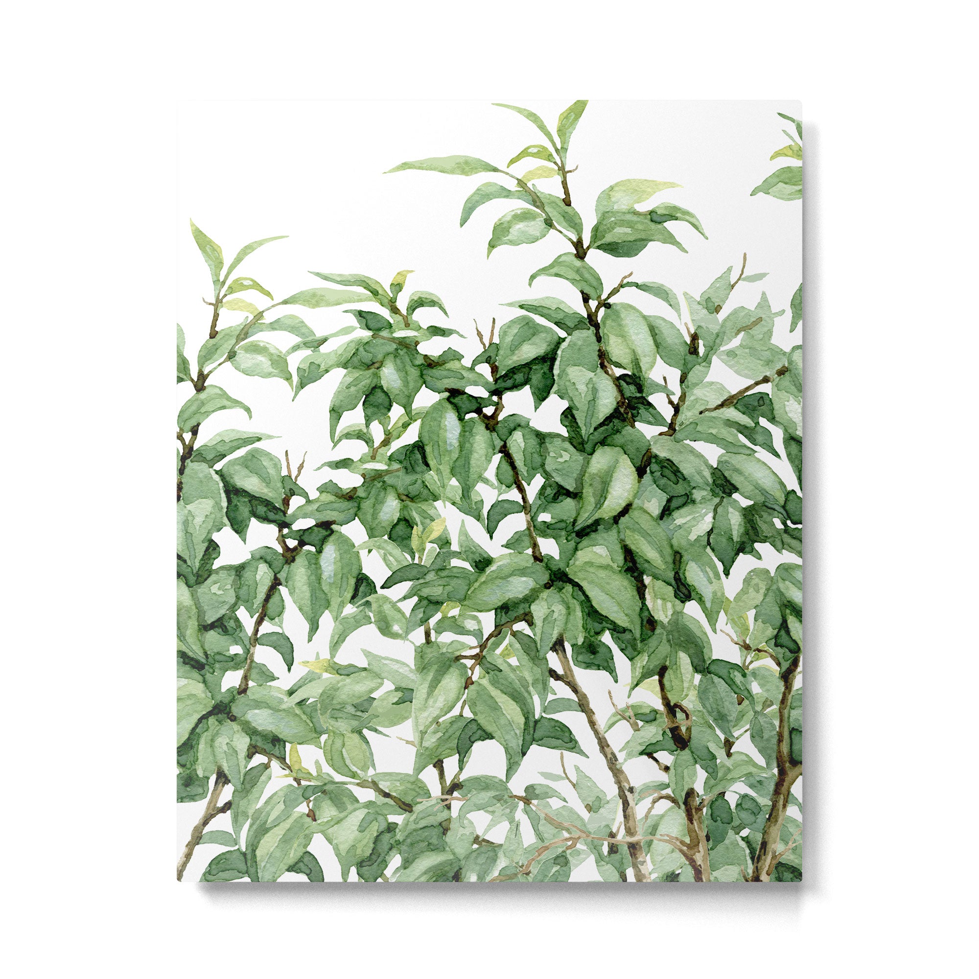 Botanic greenery Metal Print Gallery Image 6