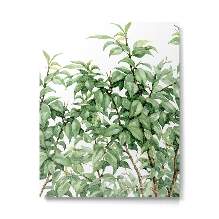 Botanic greenery Metal Print Gallery Image 1