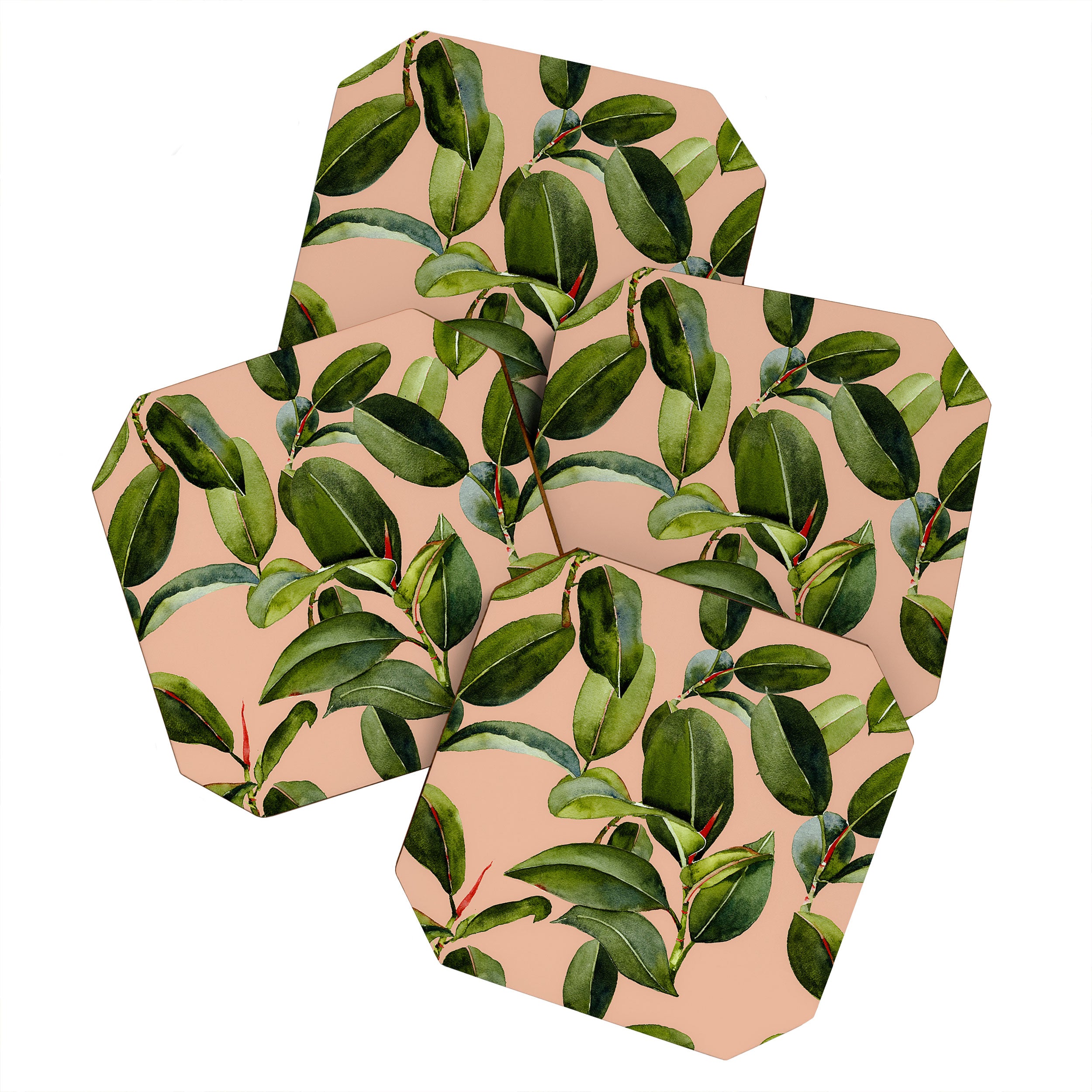 Botanical Collection 01 Coaster Gallery Image 1
