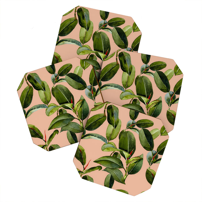 Botanical Collection 01 Coaster Gallery Image 1