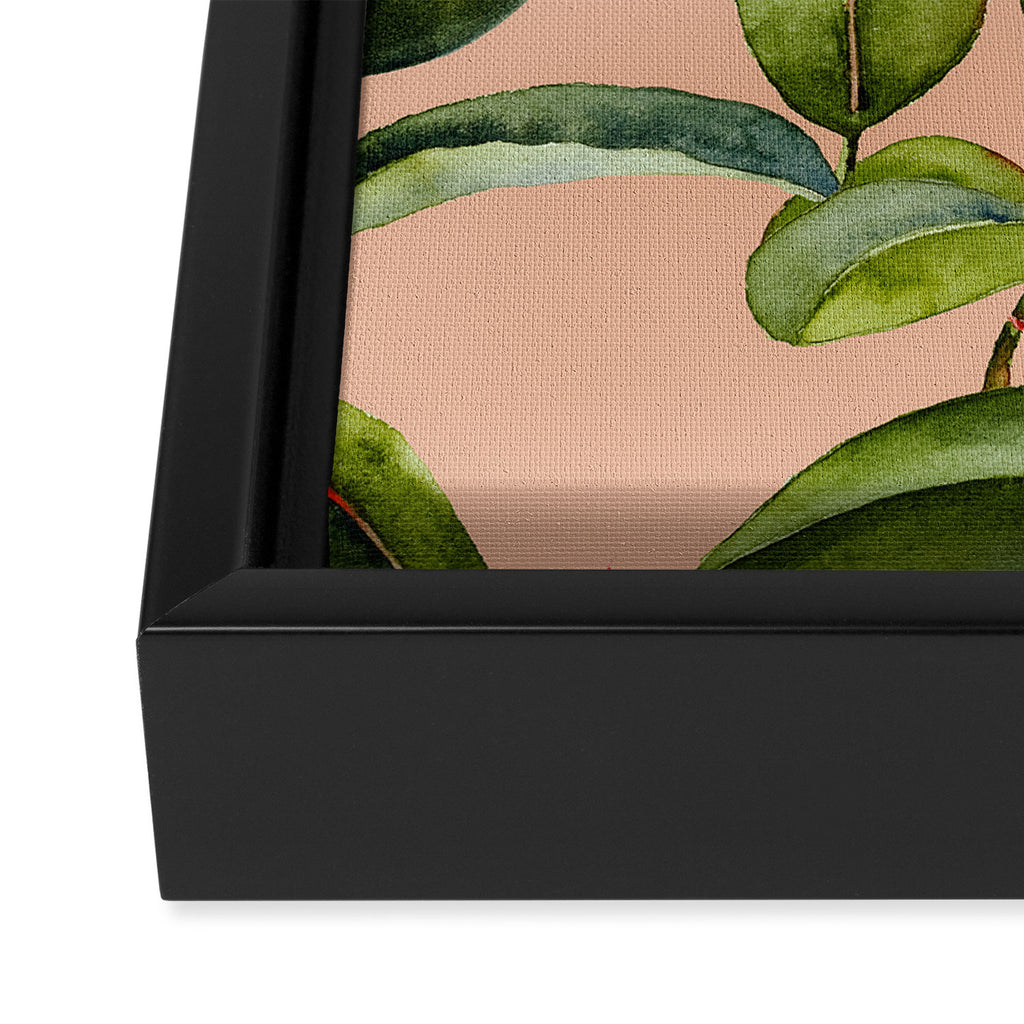 Botanical Collection 01 Framed Canvas Print Gallery Image 3