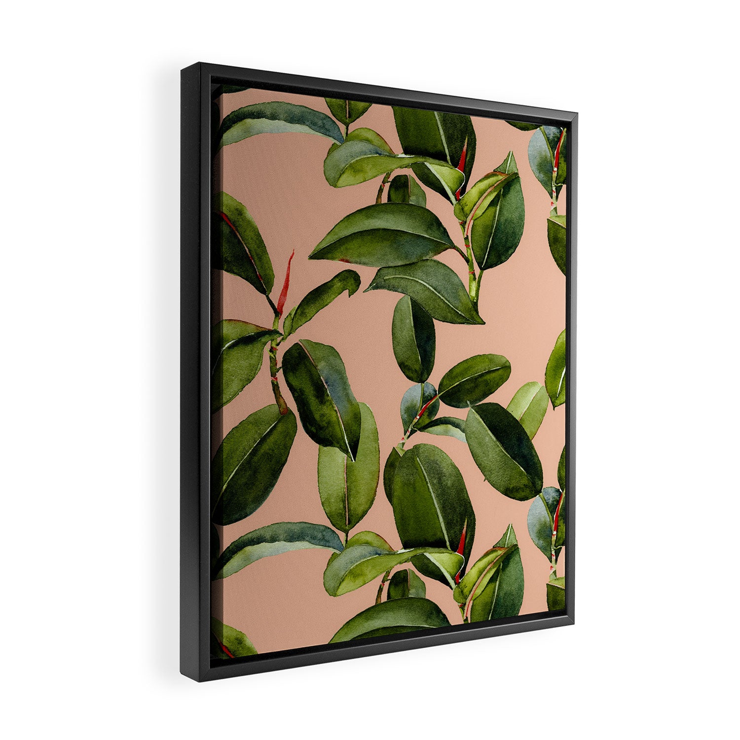 Botanical Collection 01 Framed Canvas Print Gallery Image 2