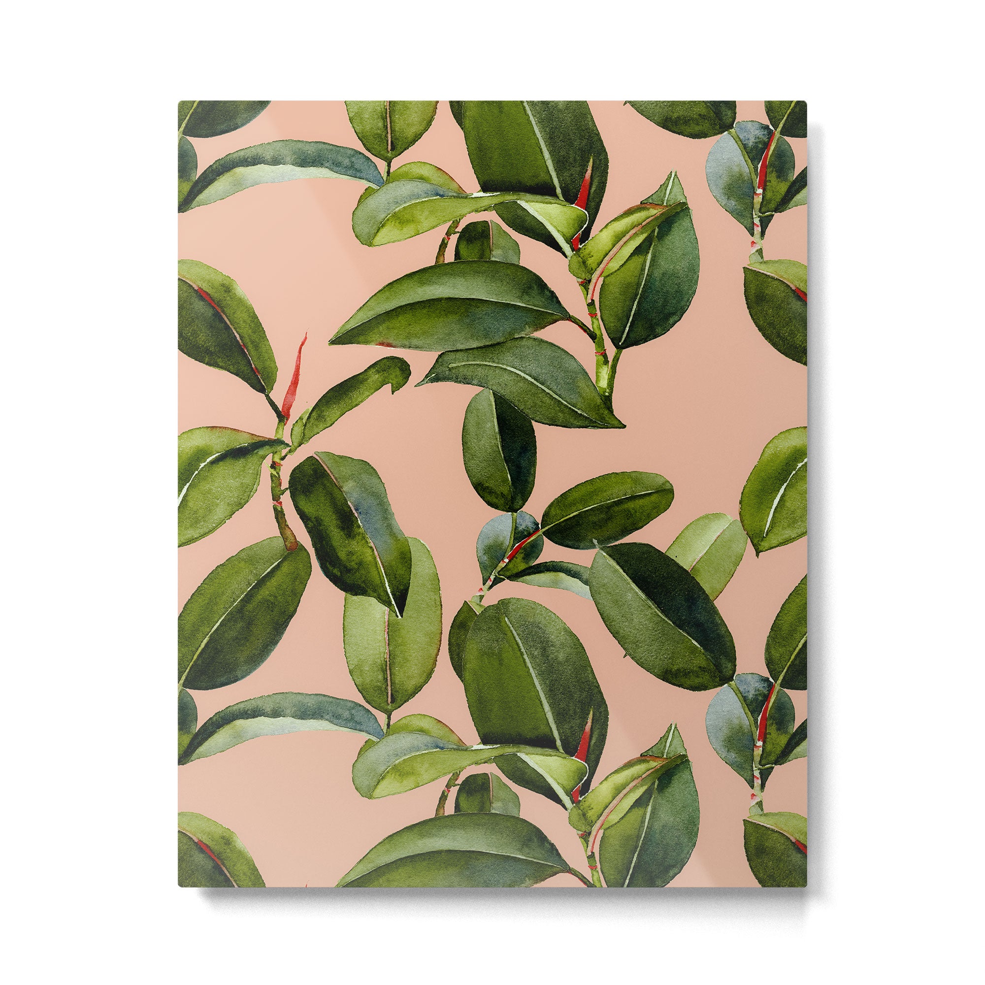 Botanical Collection 01 Metal Print Gallery Image 6