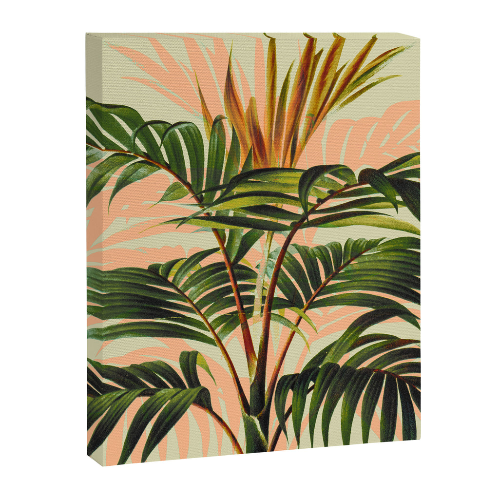 Botanical Collection 01-8 Canvas Print Gallery Image 8