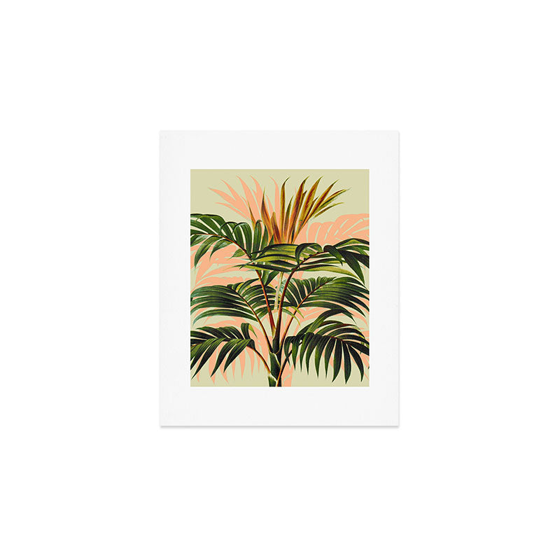 Botanical Collection 01-8 Art Print Gallery Image 1