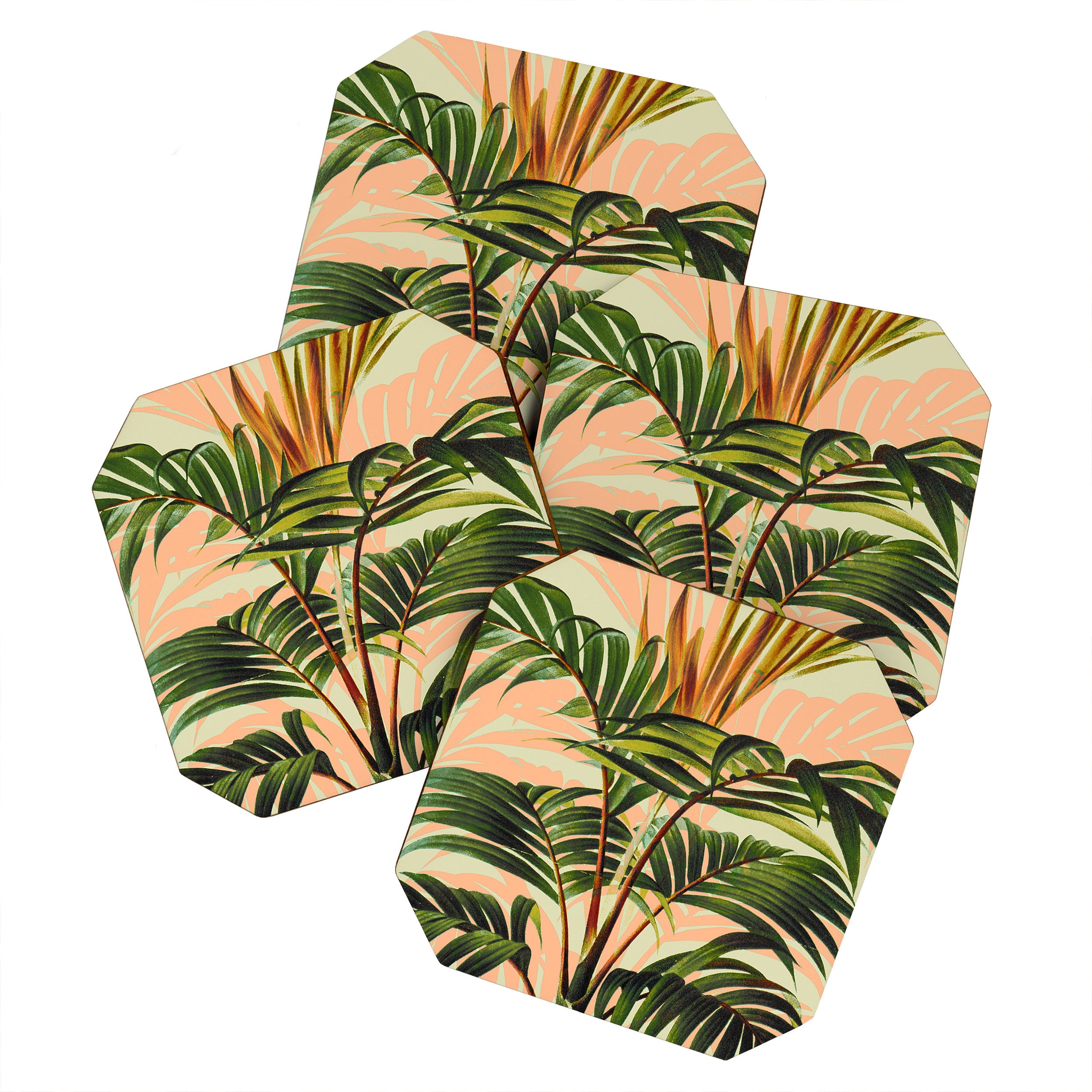 Botanical Collection 01-8 Coaster Gallery Image 1