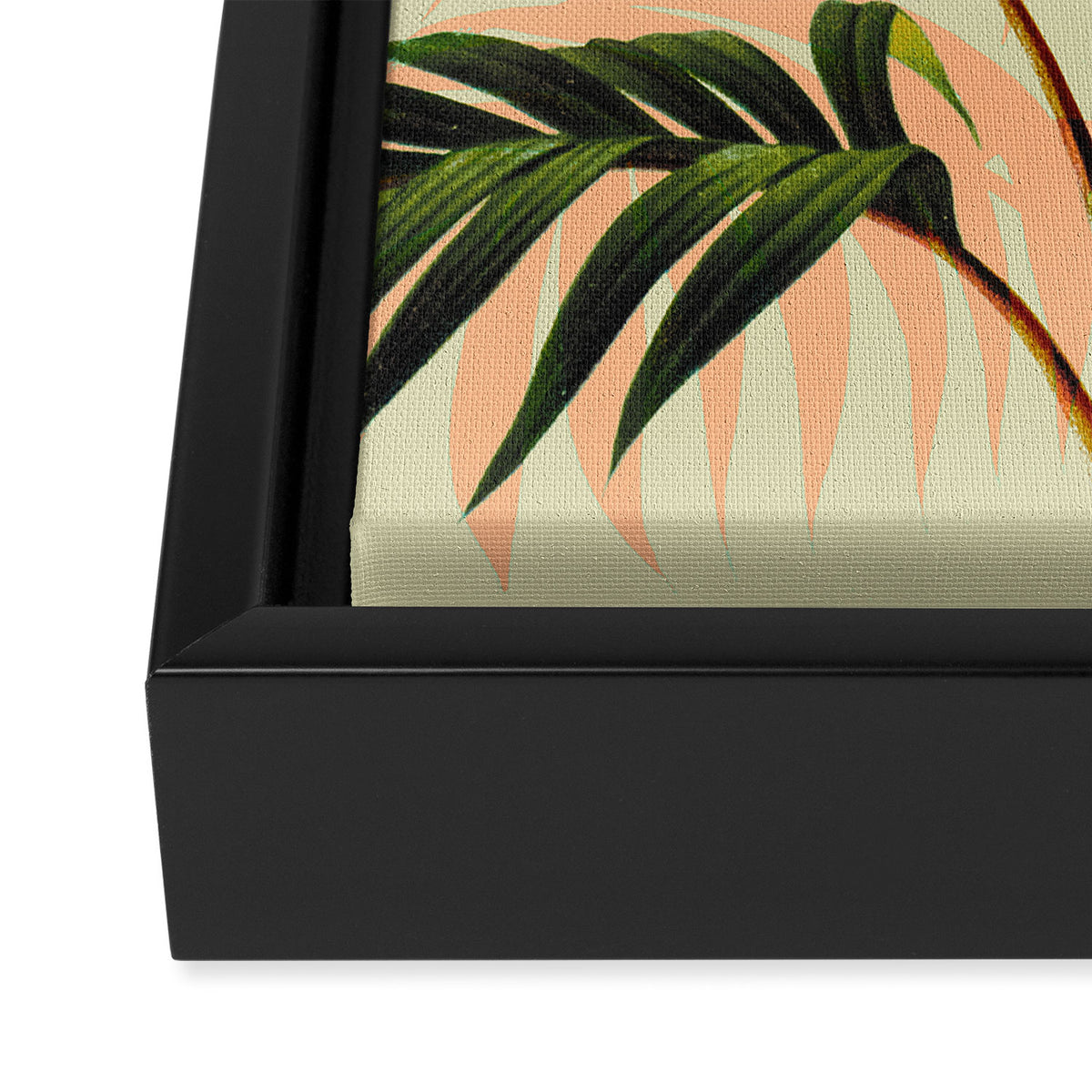 Botanical Collection 01-8 Framed Canvas Print Gallery Image 3
