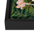 Drawing of exotic birds in the dark jungle Framed Canvas Print Gallery Image 3