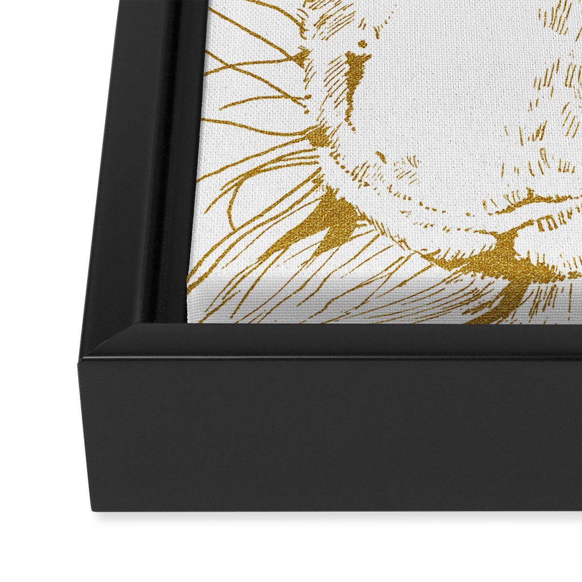 Golden tiger Framed Canvas Print Gallery Image 3