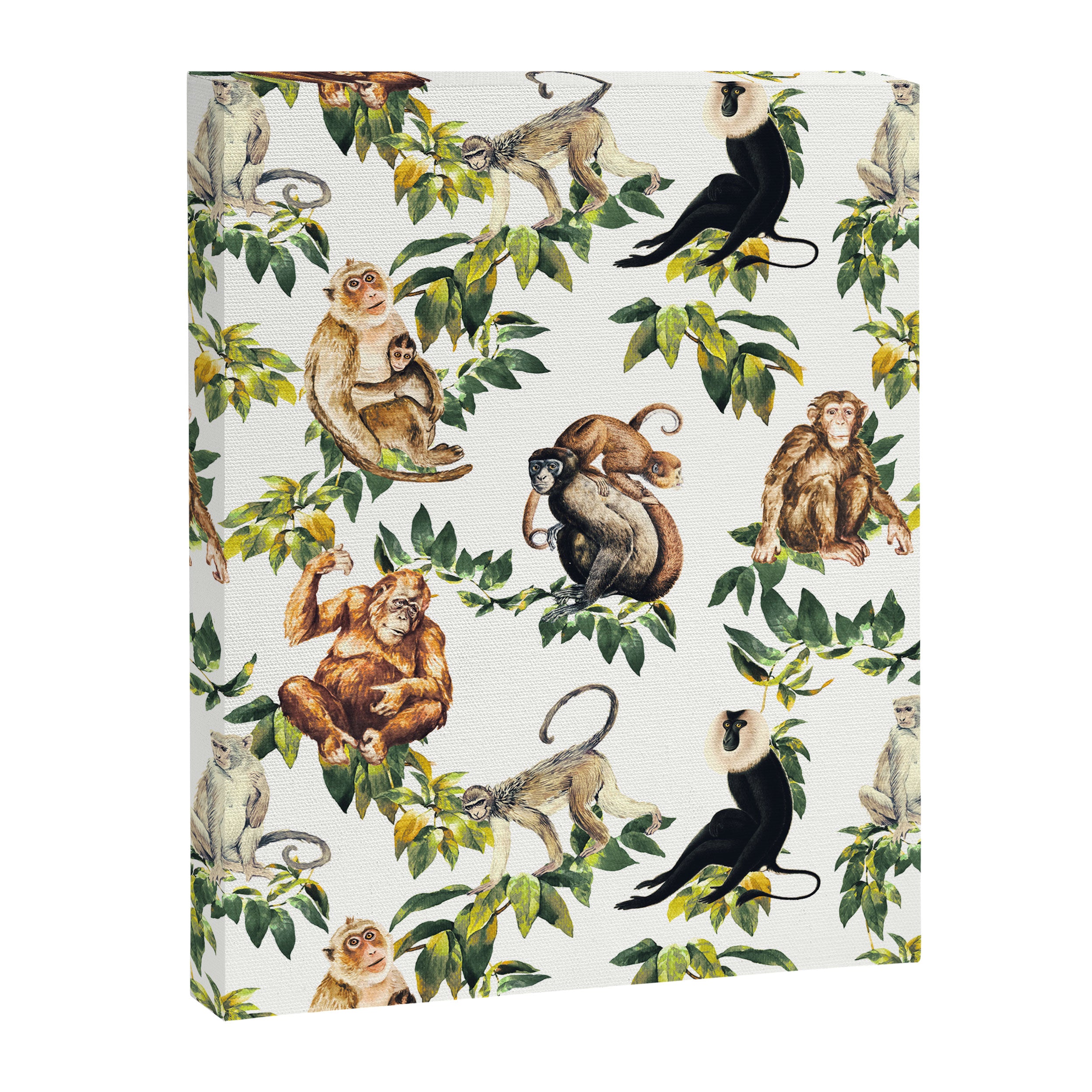 Monkeys, orangutans and more Canvas Print Gallery Image 8