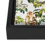 Monkeys, orangutans and more Framed Canvas Print Gallery Image 3