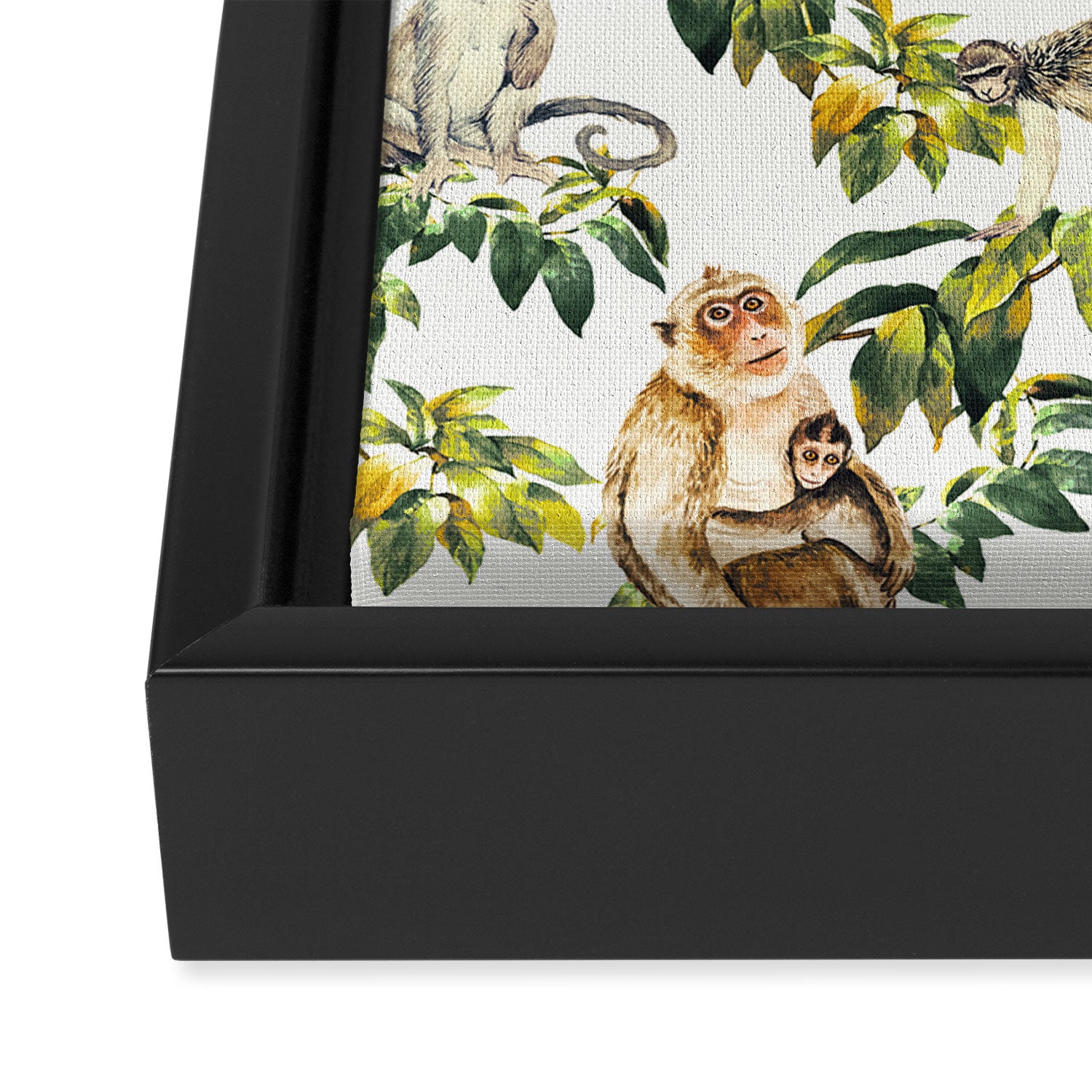 Monkeys, orangutans and more Framed Canvas Print Gallery Image 3
