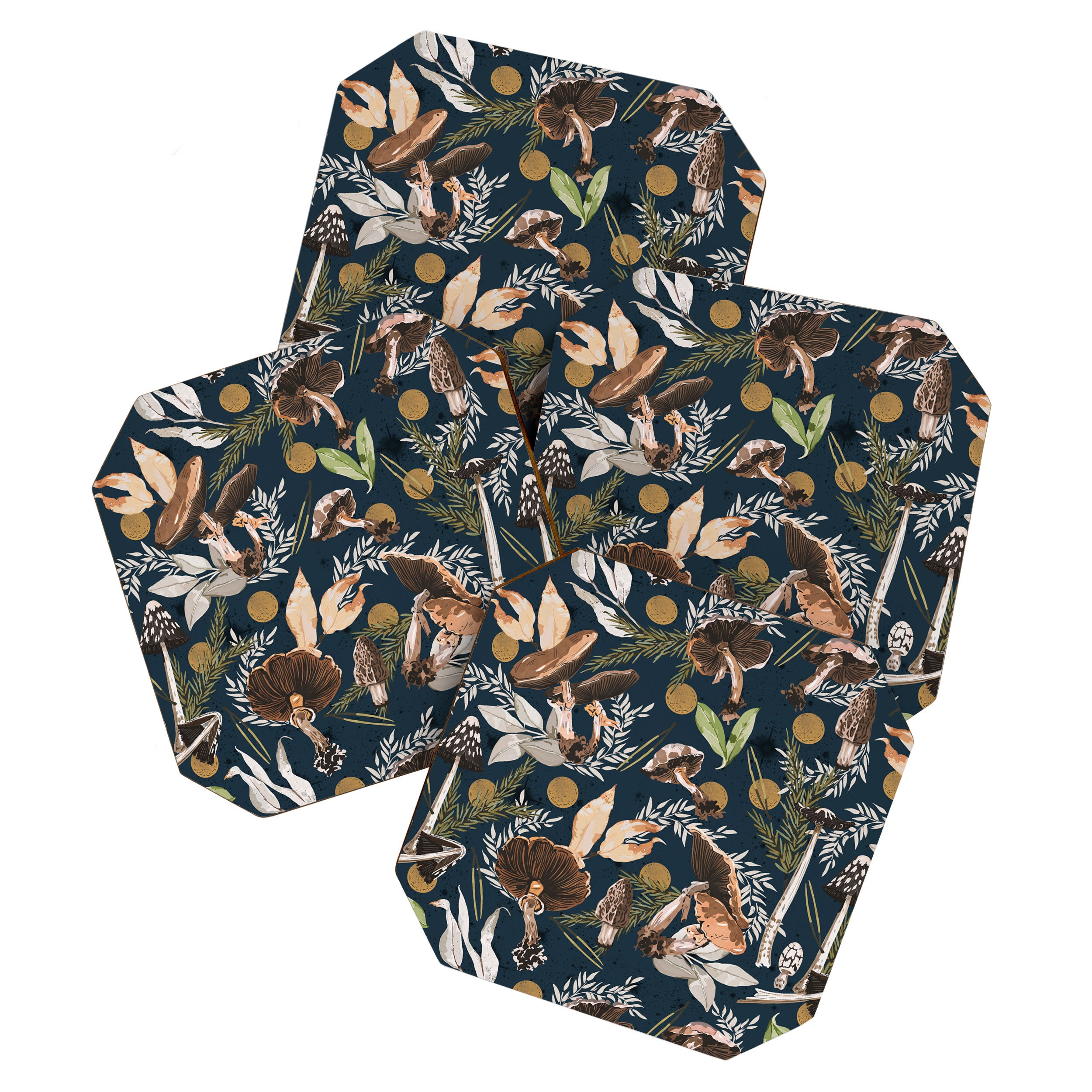 Nighttime autumn nature DB Coaster Gallery Image 1