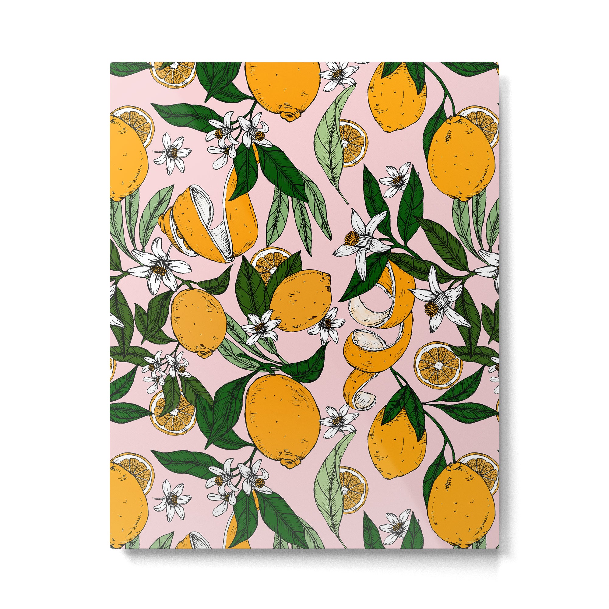 Succulent sweets oranges Metal Print Gallery Image 6