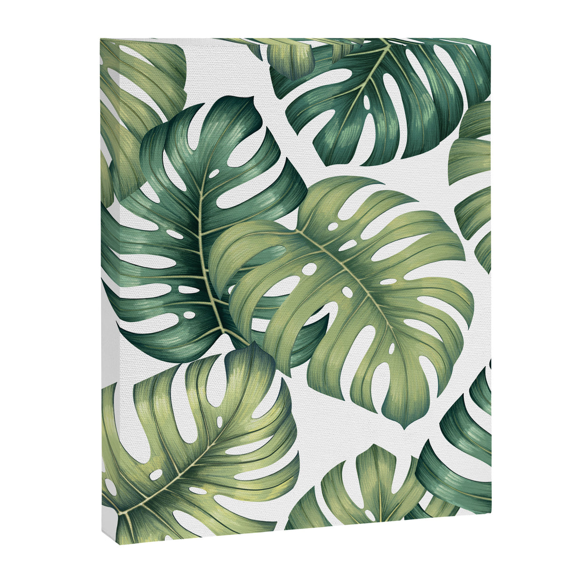Monstera botanical leaves illustration pattern on white Canvas Print Gallery Image 8
