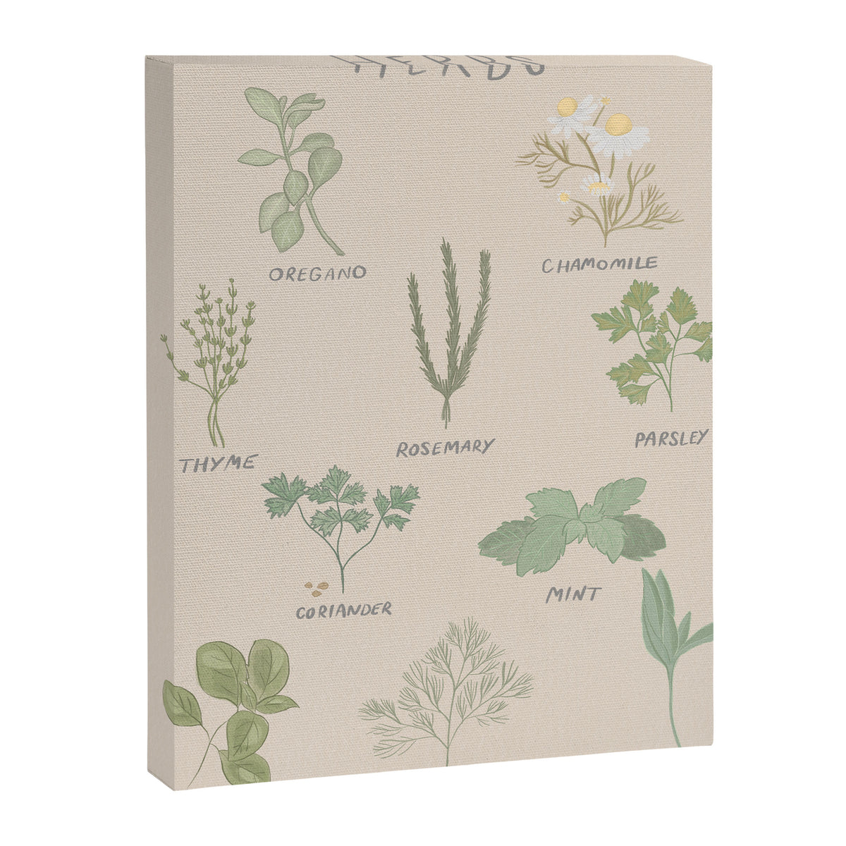 Herbs Chart  Canvas Print Gallery Image 6