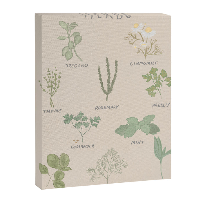 Herbs Chart  Canvas Print Gallery Image 1