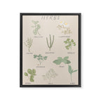 Herbs Chart  Framed Canvas Print Gallery Image 6