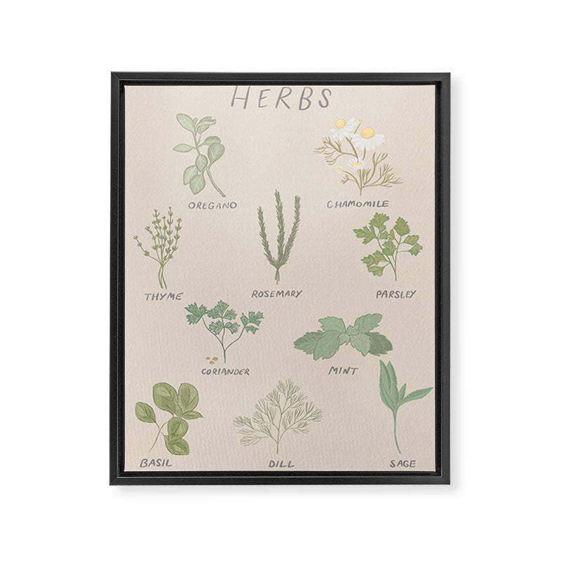 Herbs Chart  Framed Canvas Print Gallery Image 6
