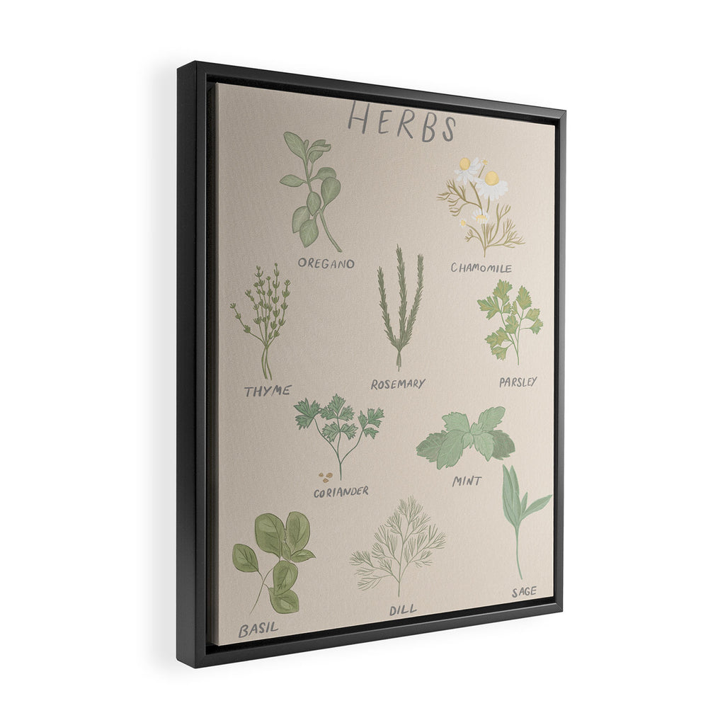 Herbs Chart  Framed Canvas Print Gallery Image 2