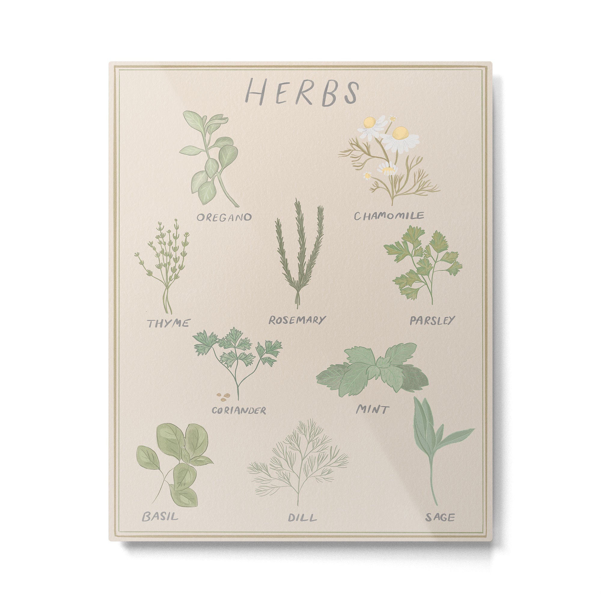 Herbs Chart  Metal Print Gallery Image 4