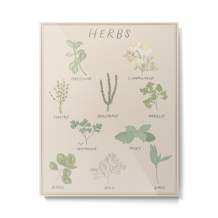 Herbs Chart  Metal Print Gallery Image 1