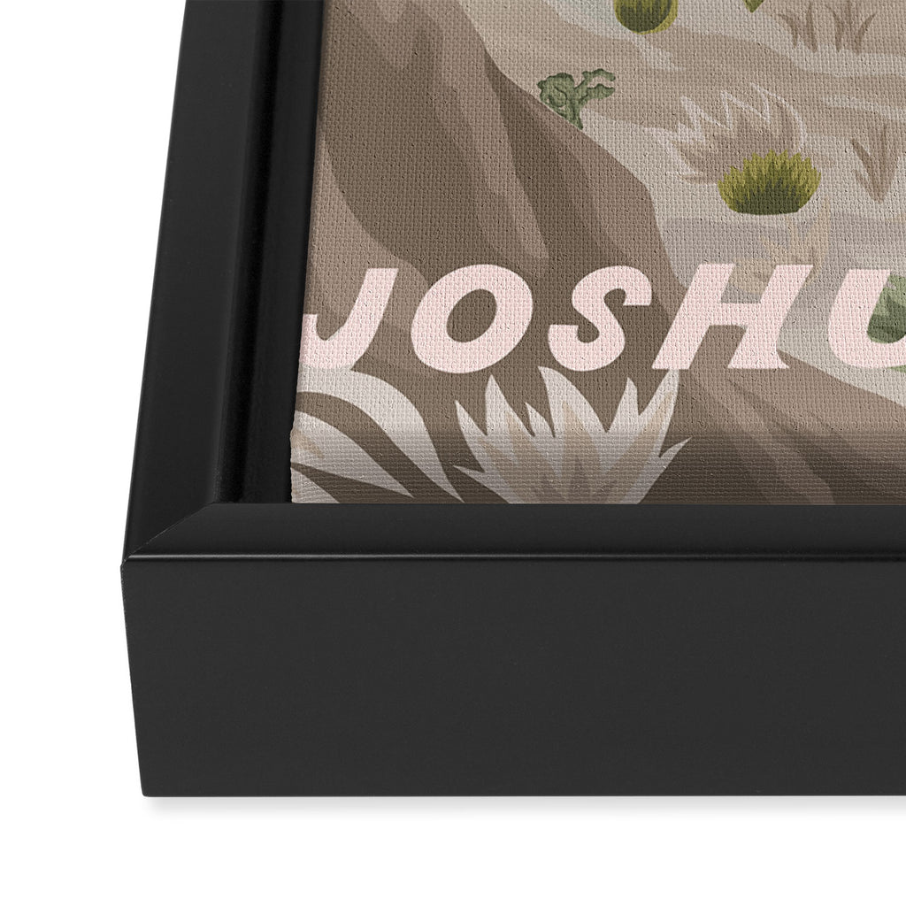 Joshua Tree National Park Framed Canvas Print Gallery Image 3