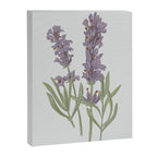 Lavender Flower Illustration Canvas Print Gallery Image 6